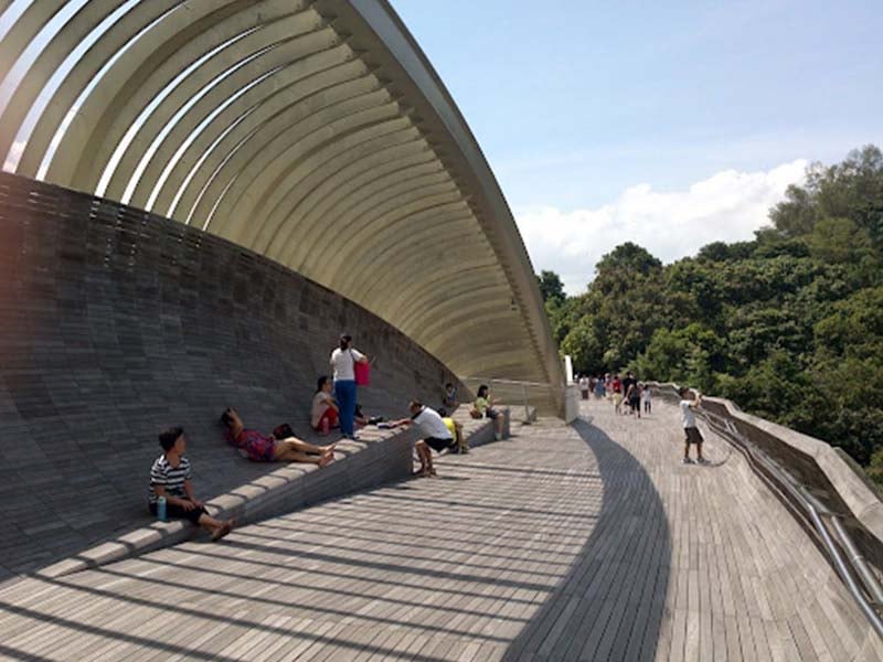 Henderson Waves bridge on the Southern Ridges, part of trekking Singapore trails