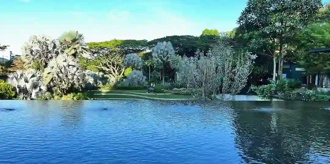 The futuristic Sky Garden at HortPark, a hidden Singapore spot