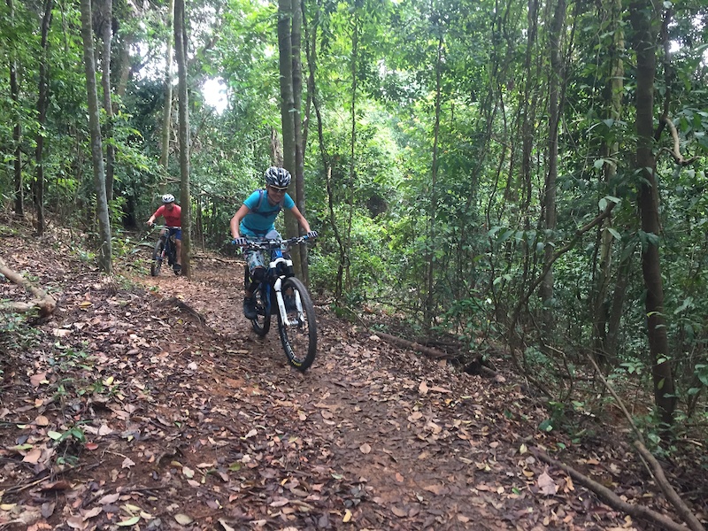 Cyclist on one of the scenic Pulau Ubin trails
