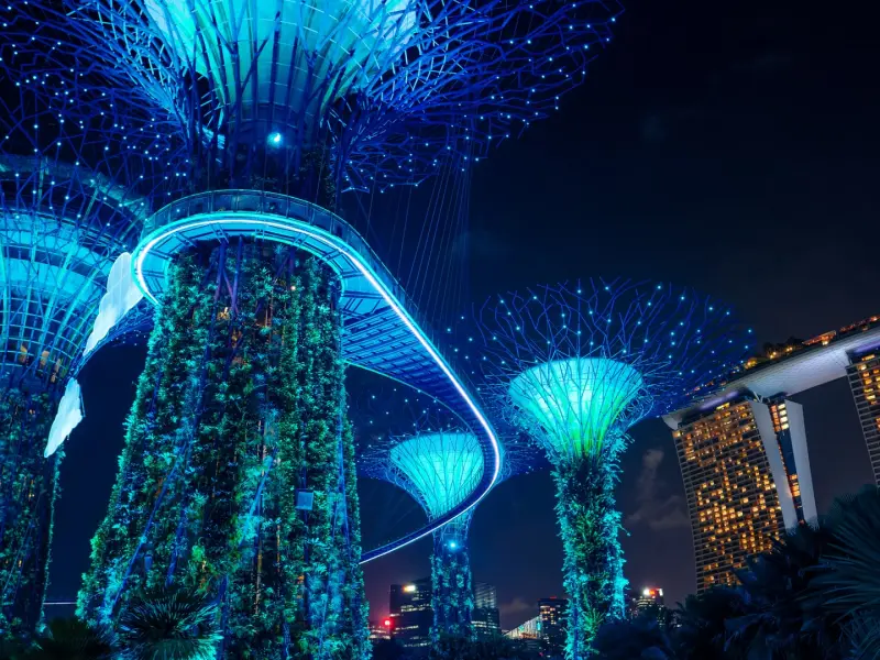 Show ánh sáng Singapore lung linh tại Supertree Grove