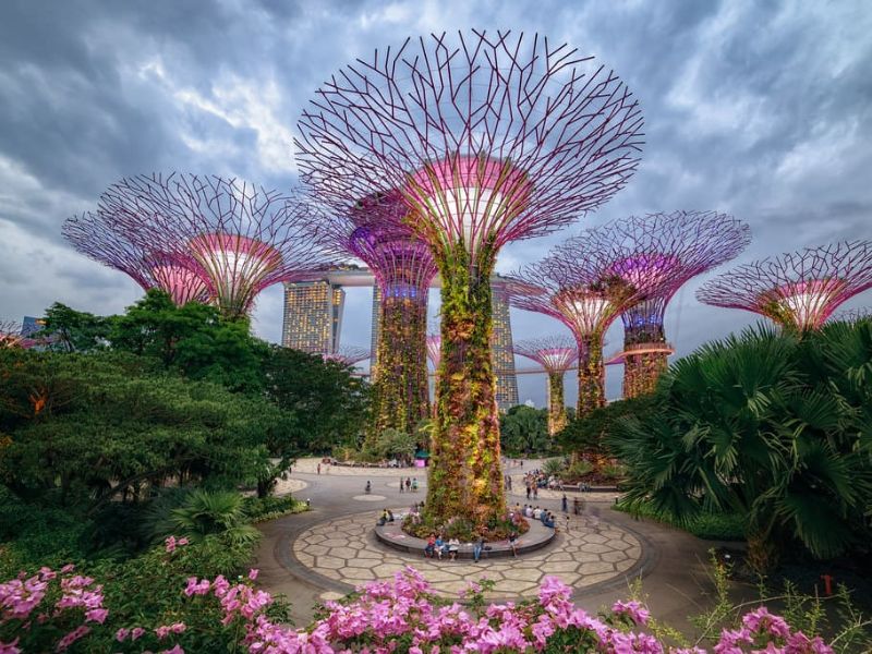 Toàn cảnh Vườn by the Bay Singapore